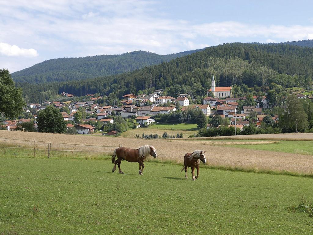 Pension Weiss Hohenwarth Extérieur photo